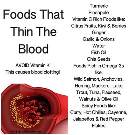 Natural aids in thinning blood this section is designed to help you either use these foods to you see, excessive blood thinning can cause bleeding in other areas of your body including the brain. Pin on Natural blood thinners