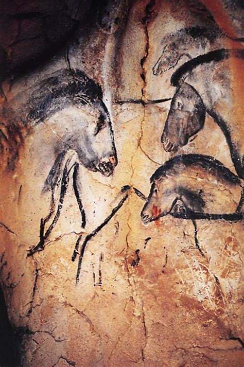 Pin By The Type Hunter Co On Chauvet Lascaux And Early Art