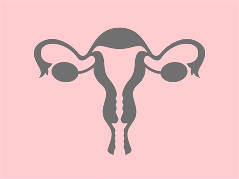 Ovarian Cancer Screening Isnt As Simple As Getting An Ultrasound Self