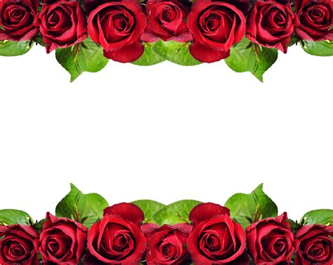 Red Rose Flower Border Design Png Best Flower Site