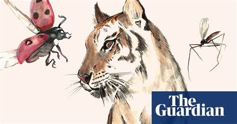 What Is Biodiversity And Why Does It Matter To Us News The Guardian