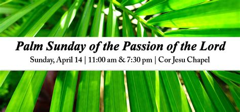 Barry University News Palm Sunday Of The Passion Of The Lord