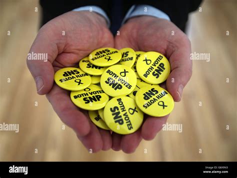 Snp Badges Are Held By An Snp Supporter Hi Res Stock Photography And