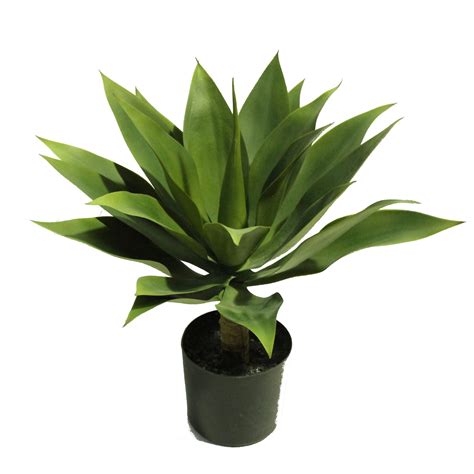 Artificial Agave Plant Green Cm Greenery Imports