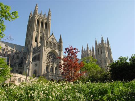 The gardens in dc are plentiful, beautiful and for the majority free. National Cathedral Gardens