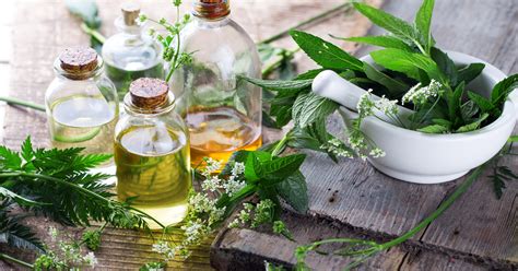 Herbs to fit your lifestyle. 7 Best Herbal Cures And Treatment For Pile In Nigeria ...