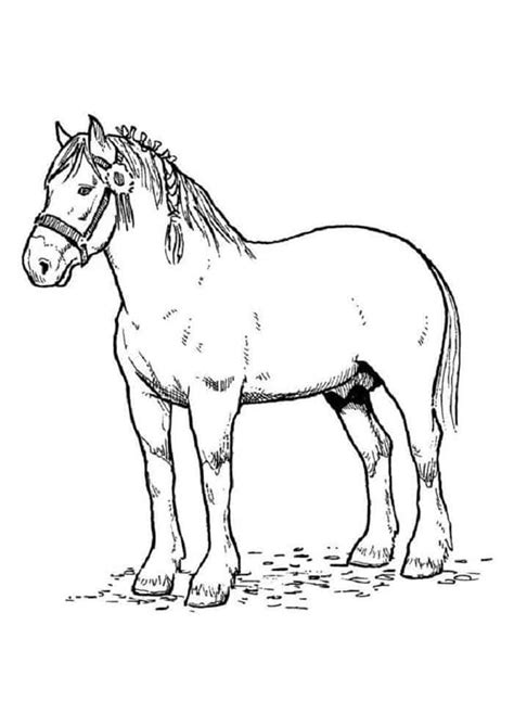 Desenho De Cavalo Preto E Branco