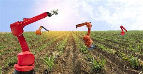未来の食料安全保障に直結 ニッポンの農業を変える「農研機構」の技術戦略とは 未来コトハジメ