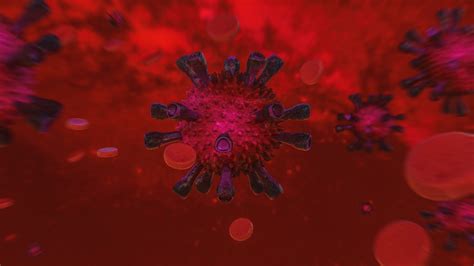 Virus 4k Ultra Hd Wallpaper Background Image 5000x2815