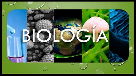 Qu Es Biolog A Significado Definici N Y Etimolog A De Biolog A Youtube