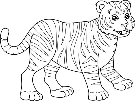 Desenho De Tigre Para Colorir Isolado Para Crian As Vetor No