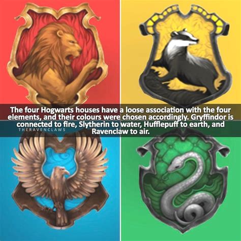 Pin By Worldofhogwarts On Harry Potter Harry Potter Ts Whats