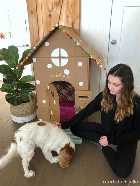 How To Make A Big Dog House Out Of Cardboard Layaranathali