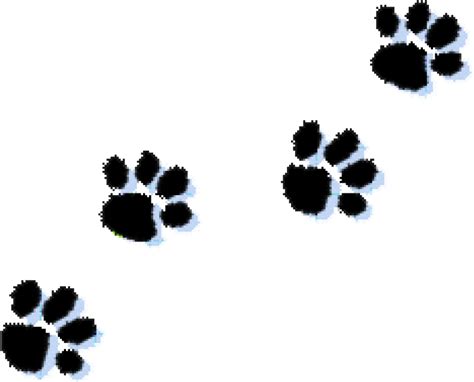 Paw Print Png Isolated Image Png Mart