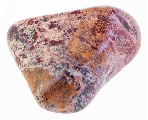 Polished Red Brecciated Jasper Stone On White Stock Image Image Of