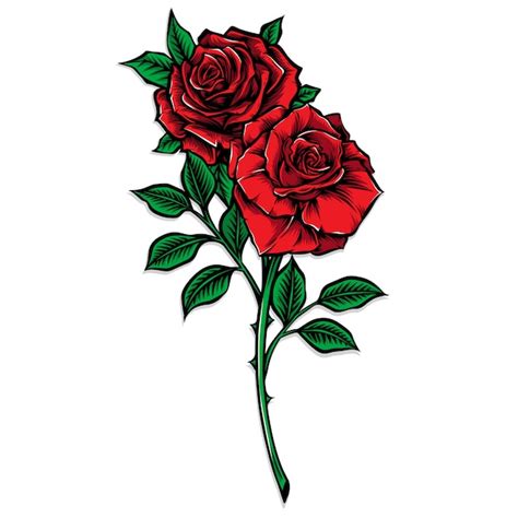 Premium Vector Red Rose Stem Vector Illustration