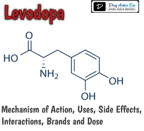 Levodopa Brands Mechanism Of Action Uses Interaction And Side Effect