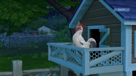Unsere Große Gameplay Vorschau Zu Die Sims 4 Landhaus Leben Simtimes