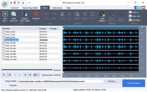 AVS Audio Converter Click To See The Full Size Image