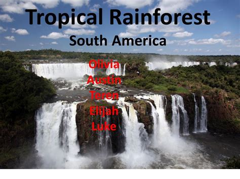 Tropical Rainforest South America Olivia Austin Teren Elijah Luke