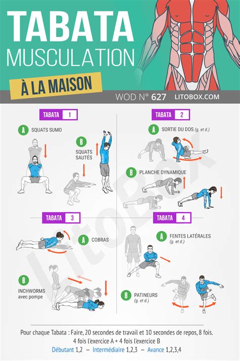 Tabata Musculation à La Maison Programme Full Body 627