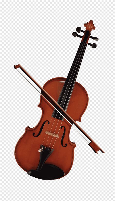 Lindo Violino Violino Instrumentos Musicais Png Pngegg