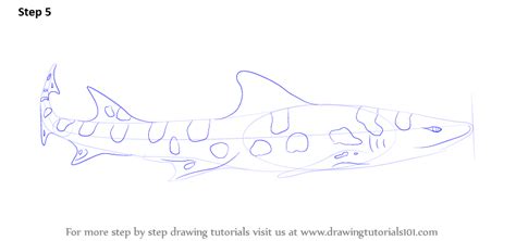 Step by step drawing tutorial on how to draw a leopard for kids. Learn How to Draw a Leopard Shark (Fishes) Step by Step ...