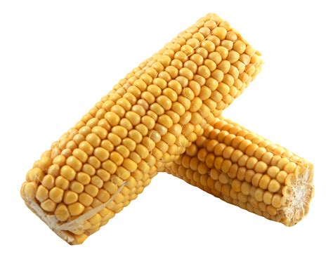 Corn Png Image For Free Download