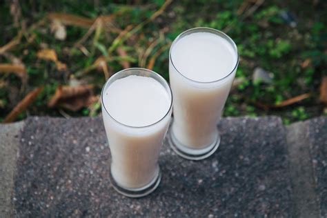 Cats are obligate carnivores, which means that they need meat to live. Home-made Coconut Milk | Make coconut milk, Coconut milk ...