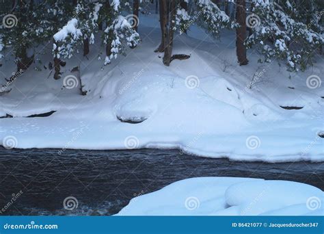 Winter Creek River Scene Snow Trees Water Ice Stock Image Image Of