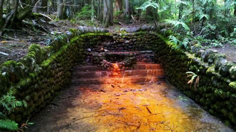 Northern Comfort Photography A Natural Spring Well At Mt Rainer The