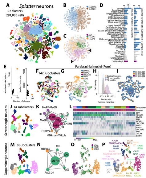 Min Dai On Twitter 5 Transcriptomic Diversity Of Cell Types Across