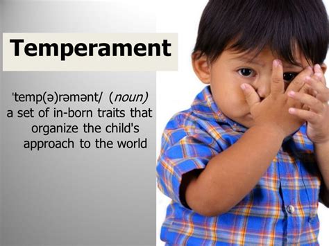 Temperament in School Age Children and the Effect of Success in the ...