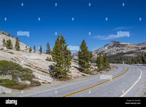 Tioga Pass Road In Yosemite National Park California Usa Stock Photo