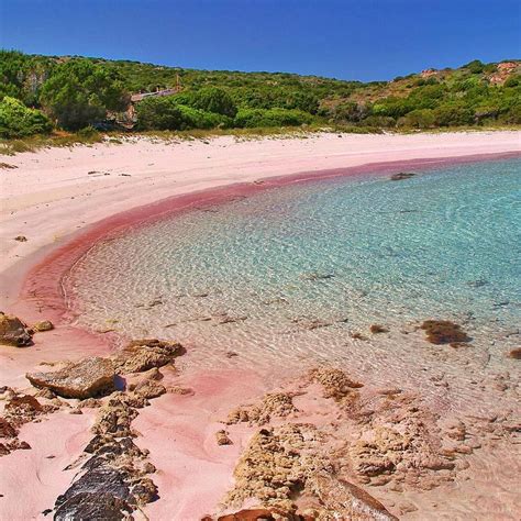 The Best Pink Sand Beaches In The World Spiaggia Rosa Sardinia