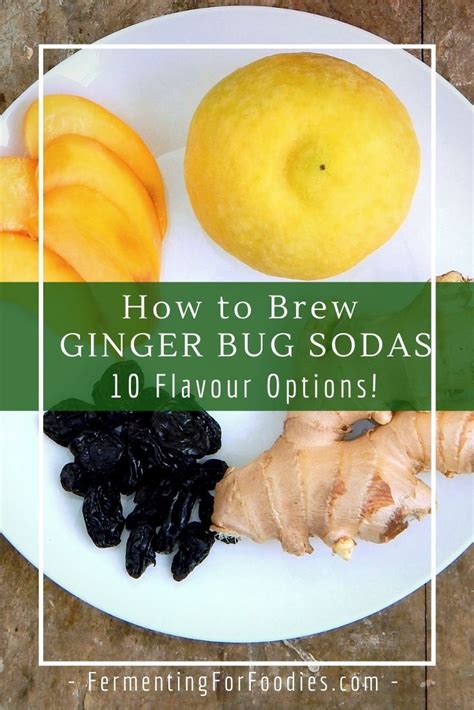 Ginger Bug Soda Flavours Recipe Ginger Bug Healthy Soda