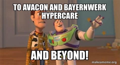 To Avacon And Bayernwerk Hypercare And Beyond Buzz And Woody Toy