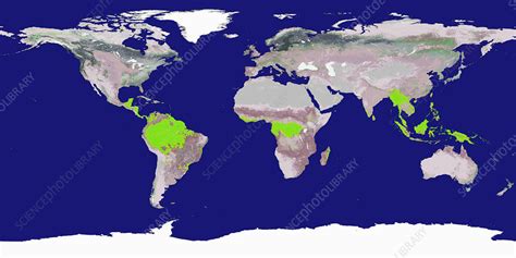 World Map Location Of Tropical Rainforest What Is A