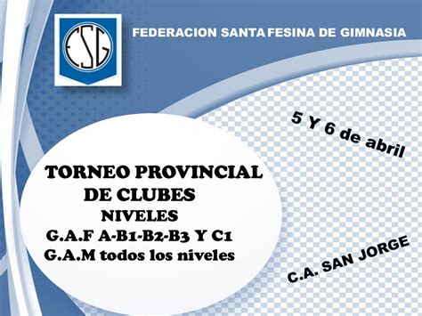 Torneo Provincial De Clubes Niveles Ramas Gam Y Gaf Federación