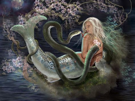 Mermaid Wallpaper And Background X Id