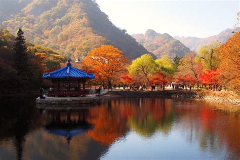 Naejangsan National Park In The Autumn 3hrs Drive From Seoul Korea R Pics