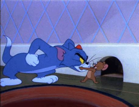 Todo Lo Que Tienes Que Saber Del Live Action De Tom Jerry