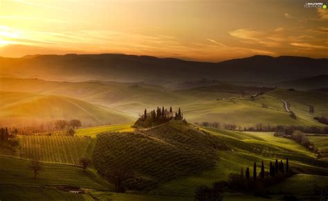 Tuscany Italy Field The Hills Sunrise Fog Viewes Cypresses