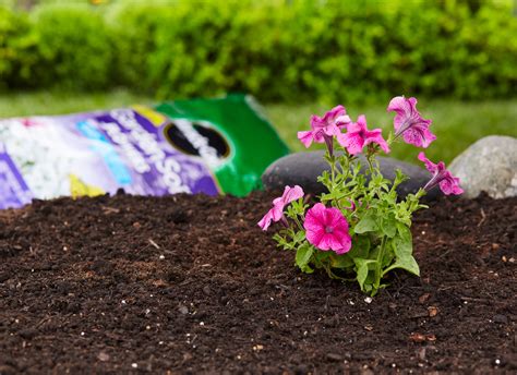 I use a chemical fertilizer because good compost isn't really available where i live. Miracle-Gro Garden Soil for Flowers- Soils - Miracle-Gro