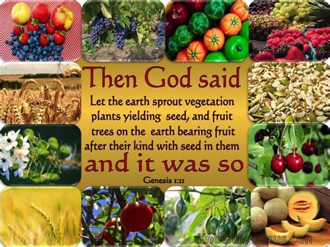 Genesis 111 Let The Earth Sprout Vegetation Gold Vegetation Genesis Fruit Trees