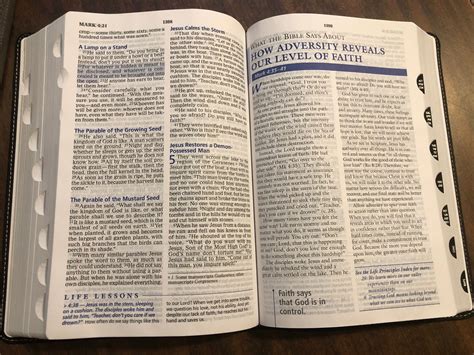 Personalized Niv Large Print Charles Stanley Life Principles Study