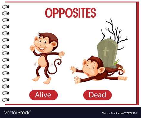 Opposite Words With Alive And Dead Royalty Free Vector Image