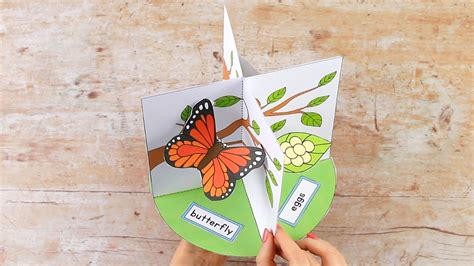 3d Butterfly Life Cycle Paper Craft Youtube