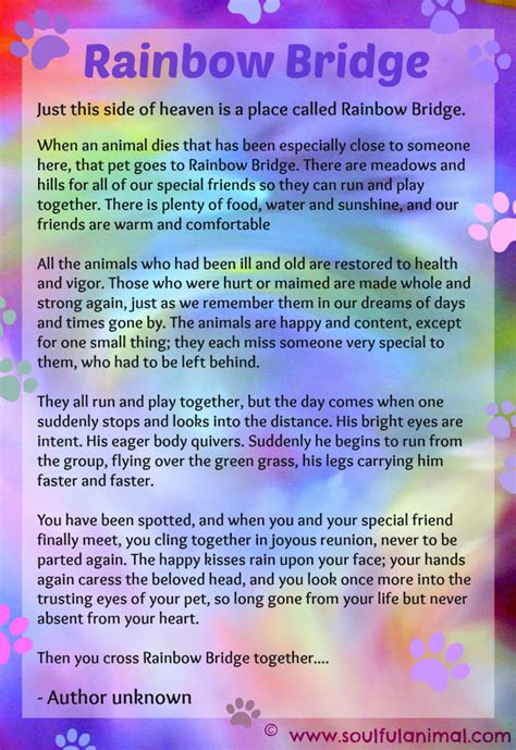 Rainbow Bridge Poem For Pet Loss Soulful Animal Blog Posts