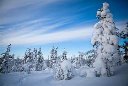 Winter Snow Nature Finland Windows Lapland Landscape